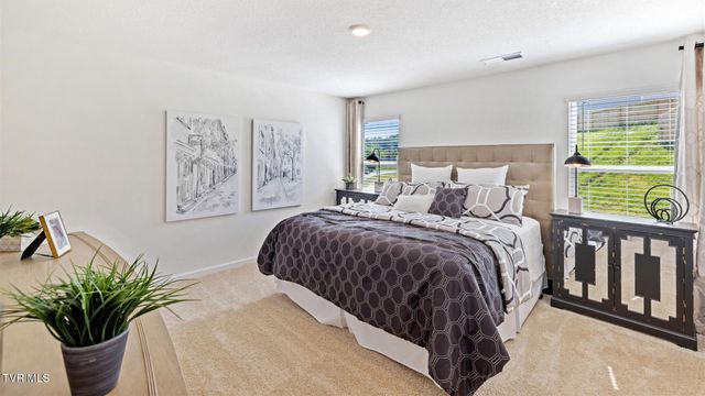 212 Artist Avenue, Johnson City, TN 37615