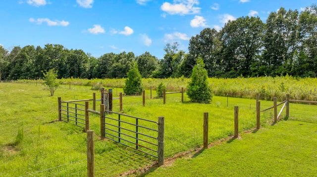 1469 Ledford Mill Rd, Tullahoma, TN 37388