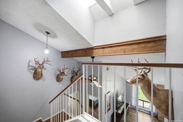 4431 PEBBLE HL, San Antonio, TX 78217