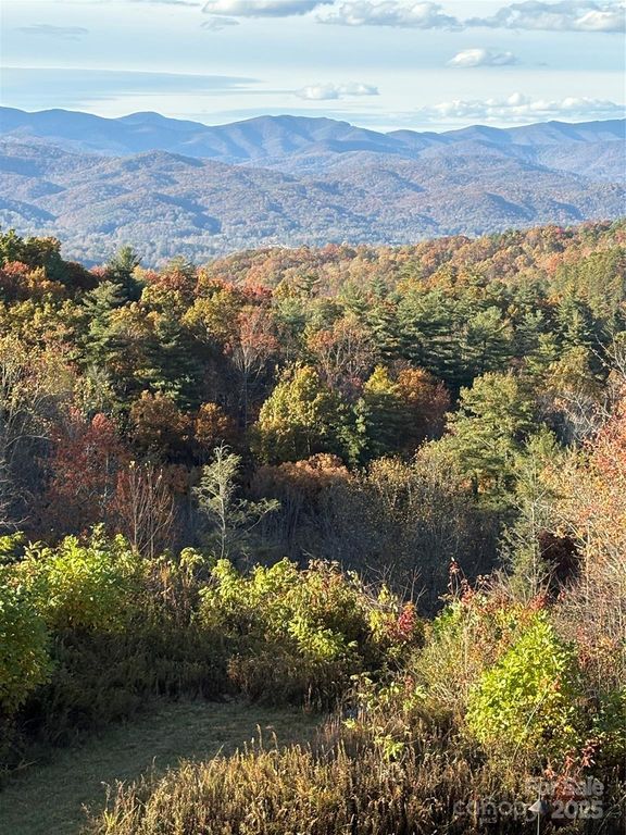 999 Old Spring Road, Brevard, NC 28712