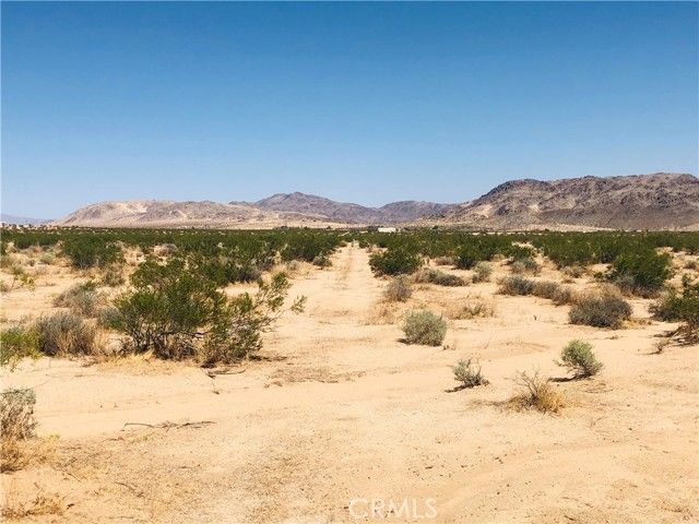 0 Near Dusty Mile Road, Landers, CA 92285