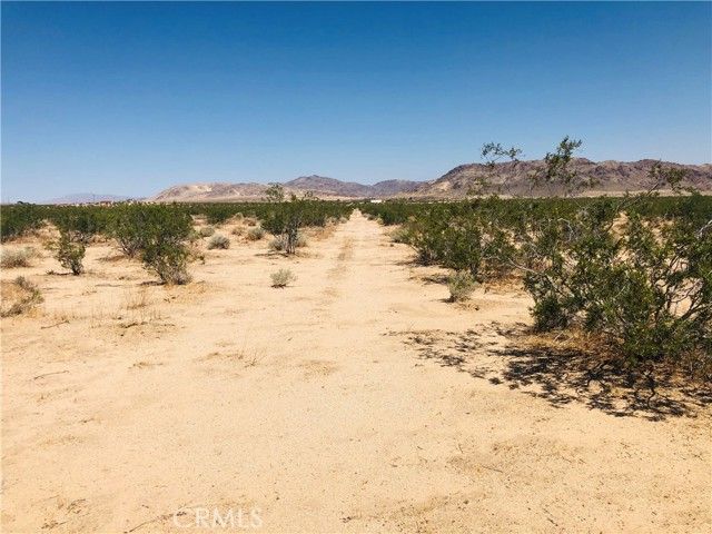0 Near Dusty Mile Road, Landers, CA 92285