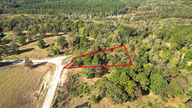 TBD PR 3398 Road, Big Sandy, TX 75755