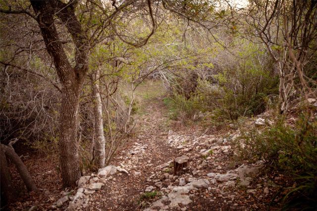 1432 Tom Sawyer RD, Dripping Springs, TX 78620
