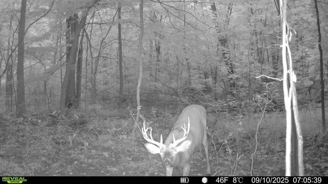 13774 Shaftsburg Road, Perry, MI 48872