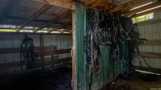 645 County Road 201, Alton, MO 65606