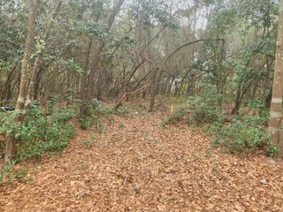 0 Old Lloydtown Rd, Aiken, SC 29801