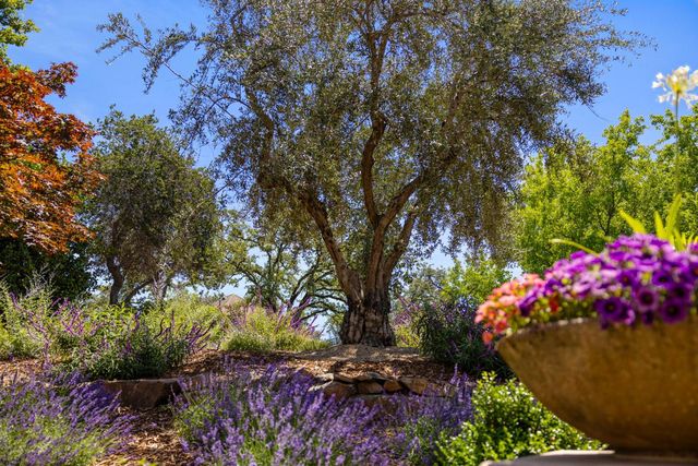 5161 Greyson Creek Dr, El Dorado Hills, CA 95762