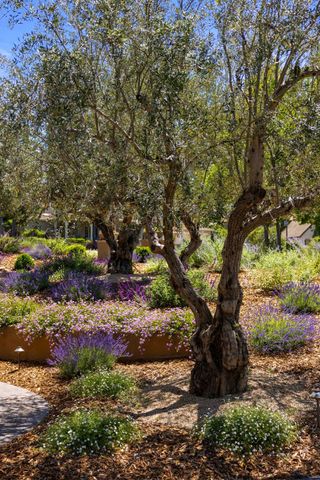 5161 Greyson Creek Dr, El Dorado Hills, CA 95762