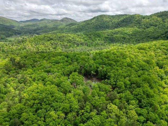 478 Flat Top Road, Blairsville, GA 30512