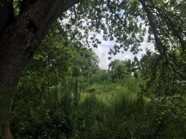 1207 Danube Street, Houston, TX 77051