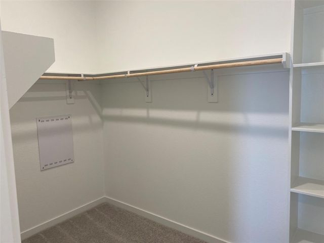 26426 Wild Stonecrop Lane, Katy, TX 77493