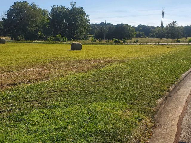 000 South Highway H, Pleasant Hope, MO 65725