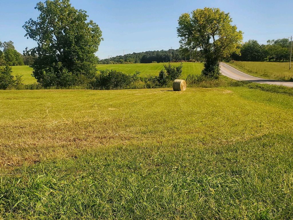 000 South Highway H, Pleasant Hope, MO 65725