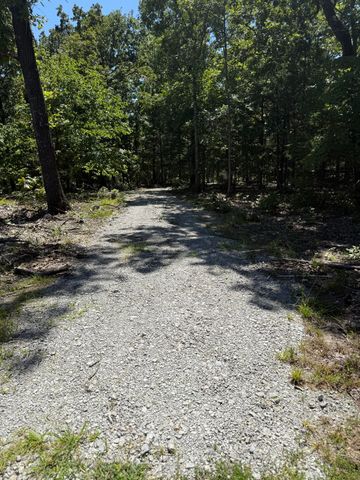 000 Jackson Hollow Rd, Gainesville, MO 65655