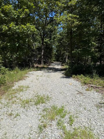 000 Jackson Hollow Rd, Gainesville, MO 65655