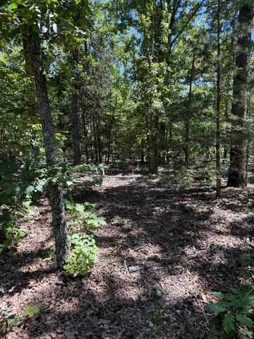 000 Jackson Hollow Rd, Gainesville, MO 65655