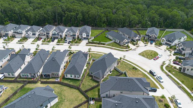 10619 Wild Chives, Conroe, TX 77385