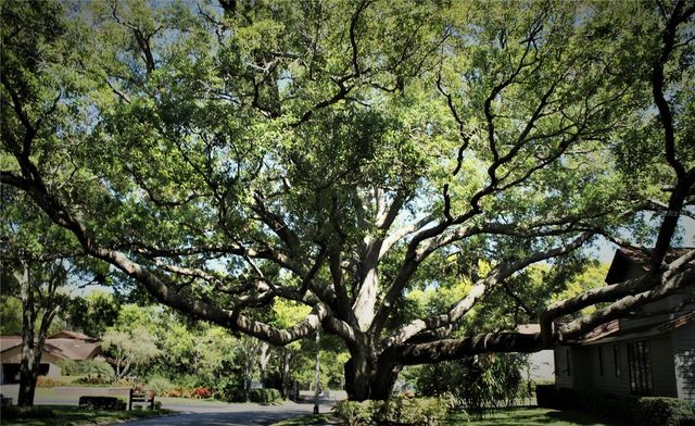 11711 RIDGEVIEW LANE, Seminole, FL 33772