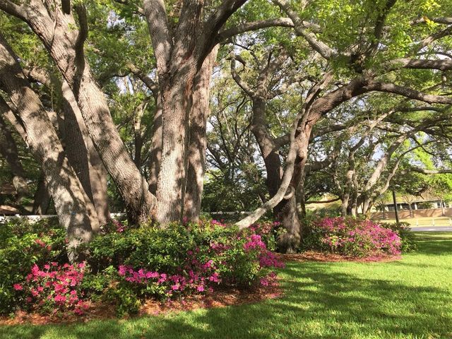 11711 RIDGEVIEW LANE, Seminole, FL 33772