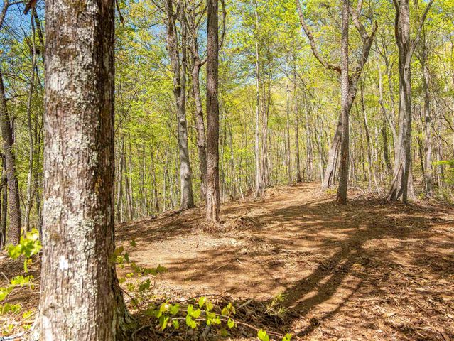 187 Shepherd Springs Drive, Cleveland, SC 29635