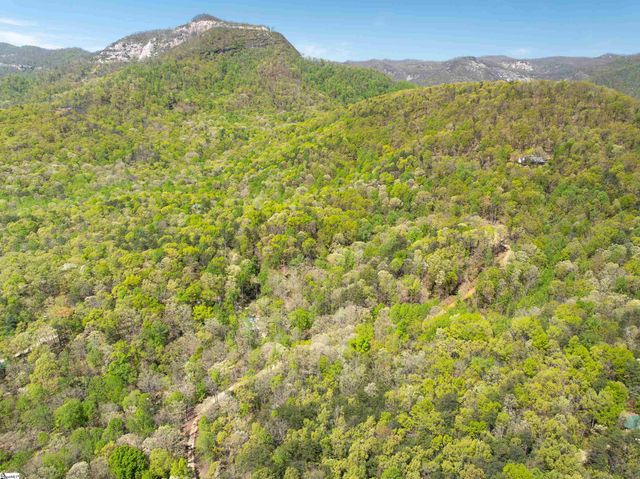 187 Shepherd Springs Drive, Cleveland, SC 29635