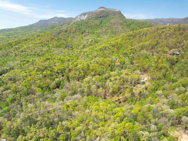 187 Shepherd Springs Drive, Cleveland, SC 29635