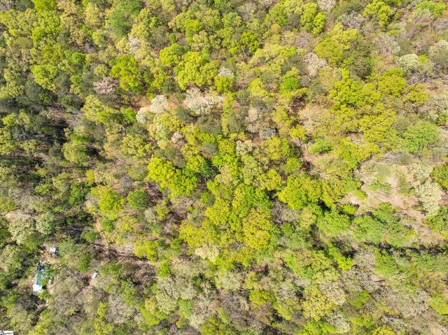 187 Shepherd Springs Drive, Cleveland, SC 29635