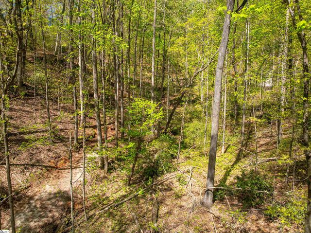 187 Shepherd Springs Drive, Cleveland, SC 29635