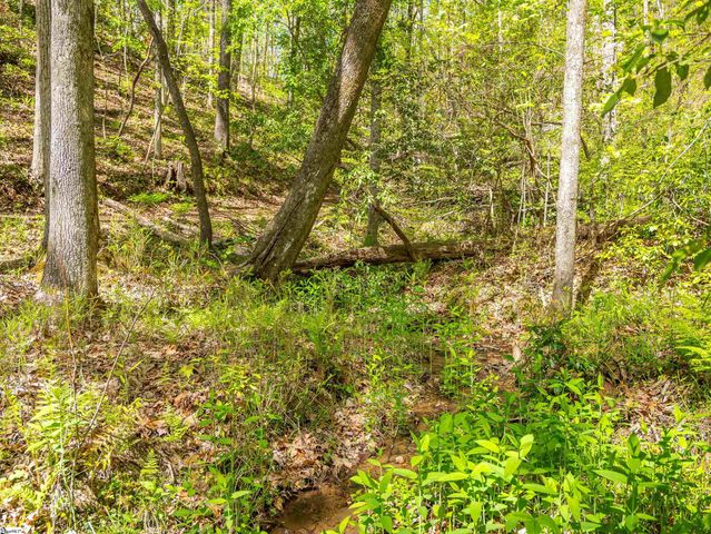 187 Shepherd Springs Drive, Cleveland, SC 29635