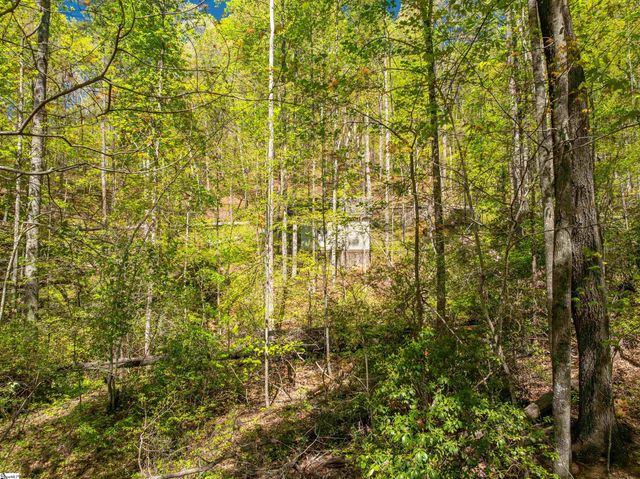 187 Shepherd Springs Drive, Cleveland, SC 29635