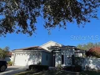 5656 TUGHILL DRIVE, Tampa, FL 33624