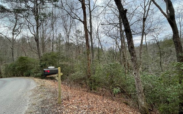 9.36A Hwy 515/Thomas Cir, Blairsville, GA 30512