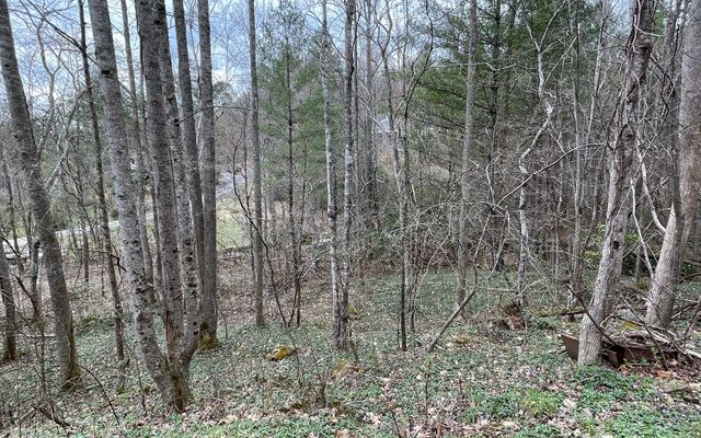 9.36A Hwy 515/Thomas Cir, Blairsville, GA 30512