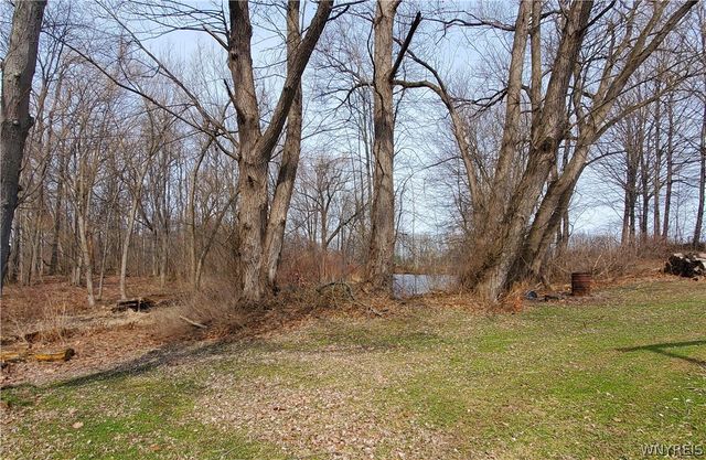 1306 Stebbins Road, Hanover, NY 14136