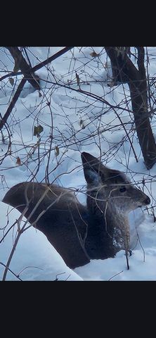 1855 Silver Bell Road 314, Eagan, MN 55122