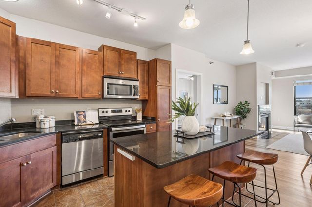 1155 Ford Road 513, Saint Louis Park, MN 55426