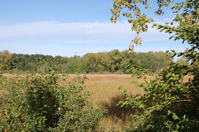 13136 Vintage Street NW, Coon Rapids, MN 55448