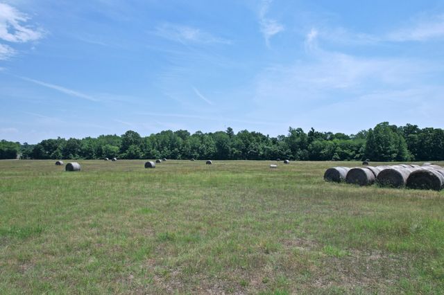 258 County Road 3199, Winnsboro, TX 75494