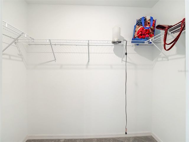 4211 ROMANO BUSCIGLIO STREET, Tampa, FL 33619