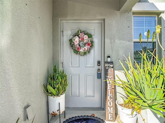 4211 ROMANO BUSCIGLIO STREET, Tampa, FL 33619