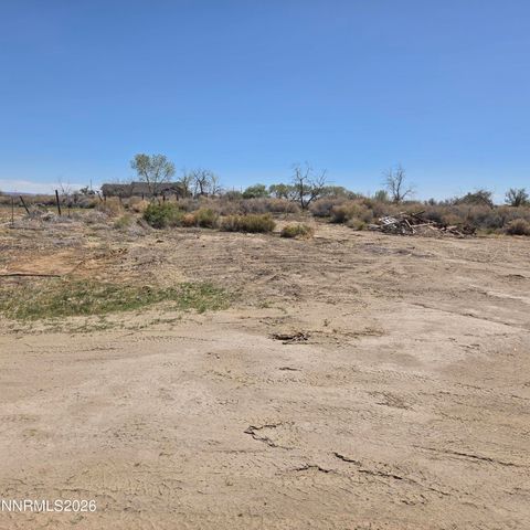1080 Tarzyn Road, Fallon, NV 89406