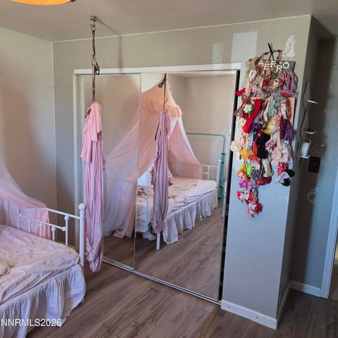 1080 Tarzyn Road, Fallon, NV 89406