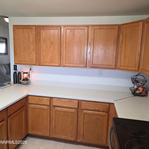 1080 Tarzyn Road, Fallon, NV 89406