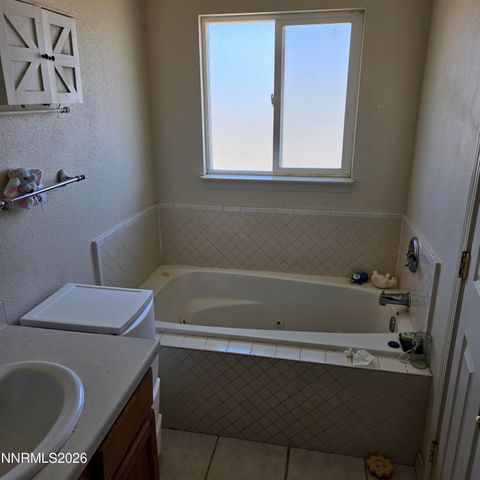 1080 Tarzyn Road, Fallon, NV 89406