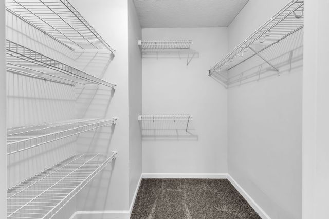 7717 Porter House Dr, Nashville, TN 37211