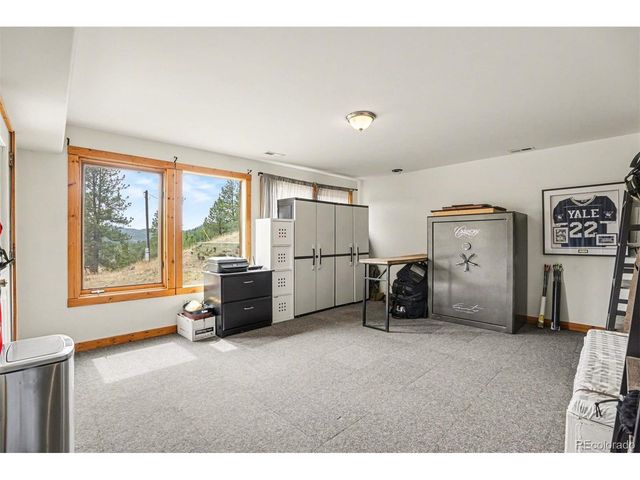 220 Rocky Mountain Vw, Divide, CO 80814