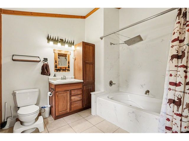 220 Rocky Mountain Vw, Divide, CO 80814