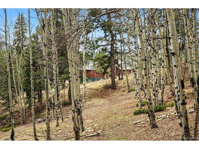 220 Rocky Mountain Vw, Divide, CO 80814