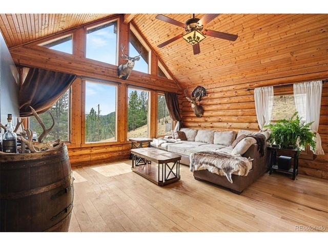220 Rocky Mountain Vw, Divide, CO 80814